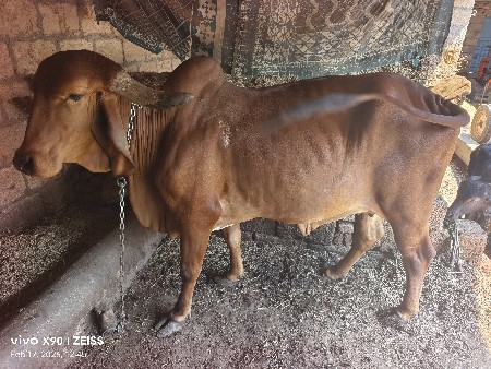 थंबनेल 3