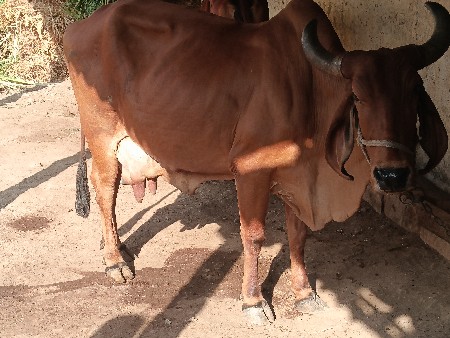 थंबनेल 2