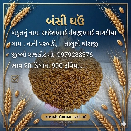 थंबनेल 2