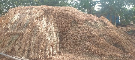 જી ૨૦ મગફળી નો ભુકો