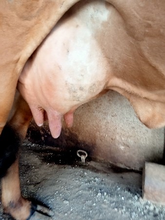 थंबनेल 2