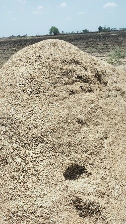 સણાનુ ખારીય