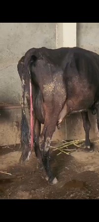 થંબનેલ 2