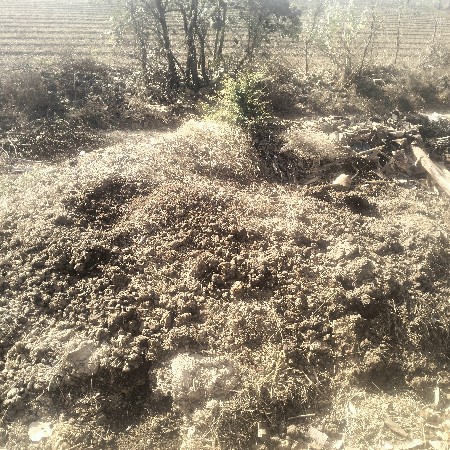 ખાતર વેશ્વાનું છે પ્રોર સાન્યું