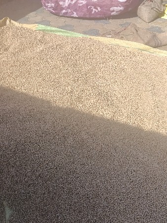 સના વિશ્વવના