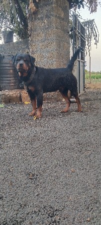 ઓનલી મિટિંગ માટે સે