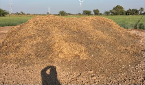 જી-૨૦ માડવી નો કોરો ભુક્કો ૧૦ વિધા નો વેચવાનો છે 
માંડવી માં બોવ વલ નોતો એટલે ટ્રેક્ટર ના એક ઝાકડા ભૂકો નો અંદાજ છે
કિંમત રૂ. 16000 માં દેવાનો છે
Contact no. 9662392482