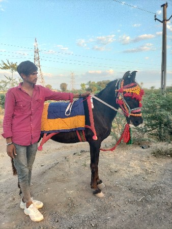 થંબનેલ 2