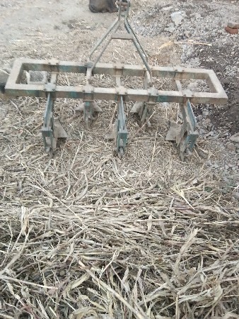 પંચિયા વેચવાના છે