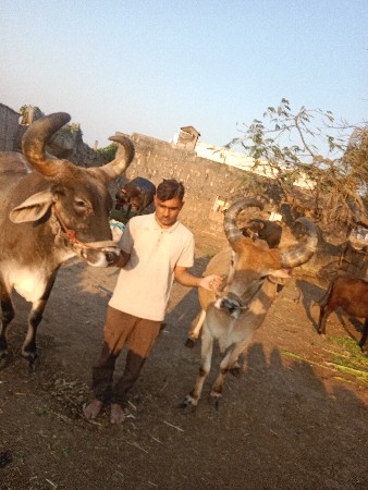 થંબનેલ 2