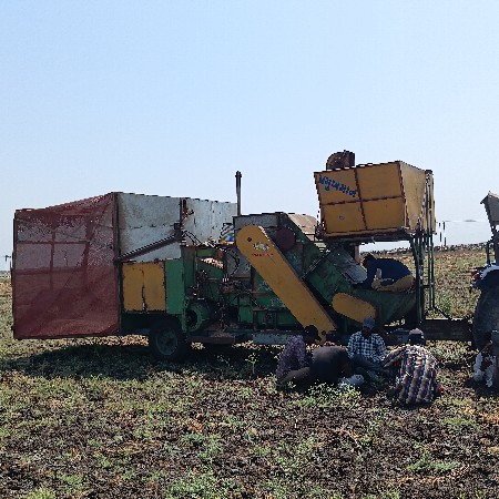 પ્રમુખ માન ડબો