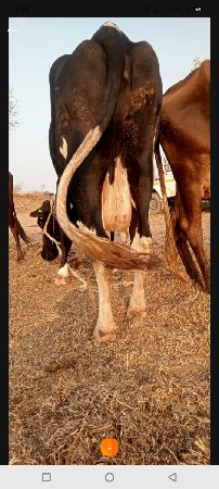 थंबनेल 2