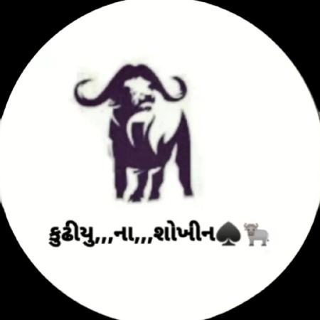 પાડ્યો લેવાની છે