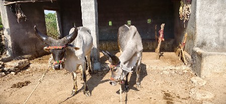 थंबनेल 3