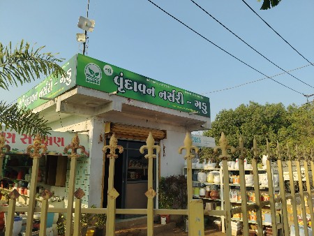 વૃંદાવન નર્સરી - ગડુ