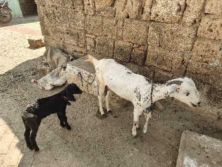 थंबनेल 2