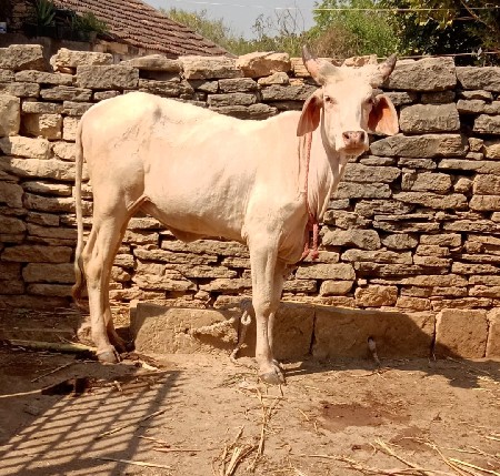 थंबनेल 3