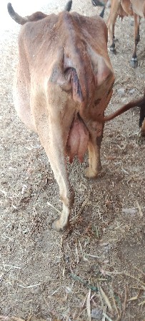 થંબનેલ 3