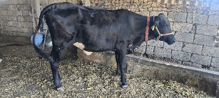 थंबनेल 2