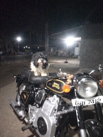 થંબનેલ 3