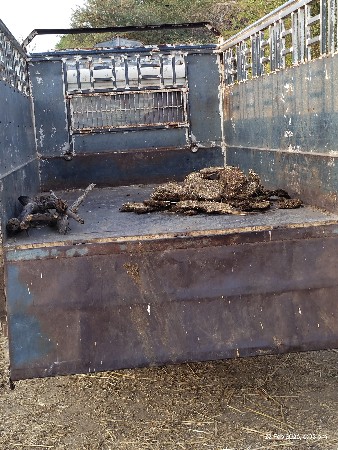 બોલેરો વેચવાનો છે