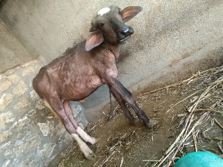 थंबनेल 3