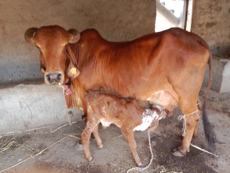 थंबनेल 3