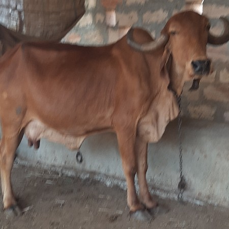 थंबनेल 2