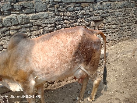 थंबनेल 3