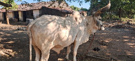 थंबनेल 3