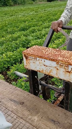 સનેડો  વેચવાનો છે