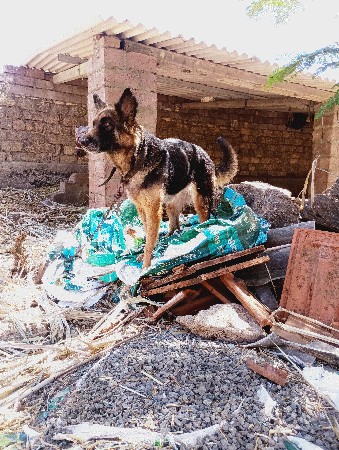 થંબનેલ 3