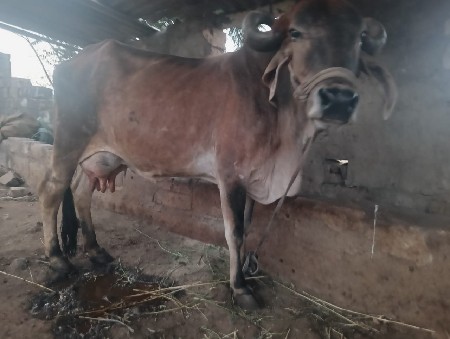 थंबनेल 2