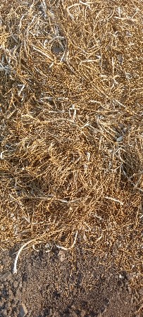 લસણ ના લોદર