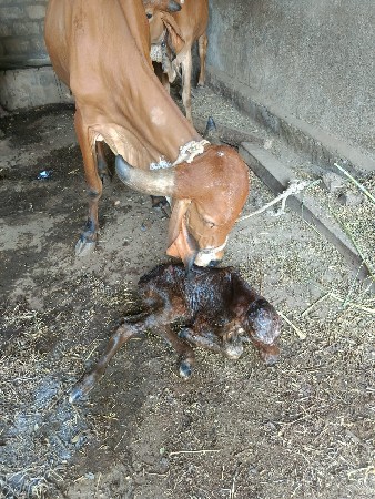 થંબનેલ 3