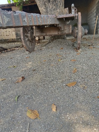 थंबनेल 3