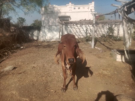 थंबनेल 3