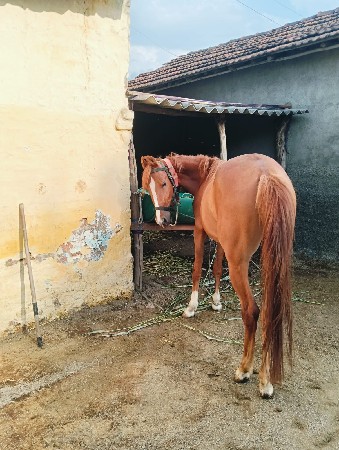 થંબનેલ 2