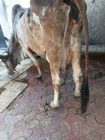 થંબનેલ 3