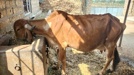 थंबनेल 3