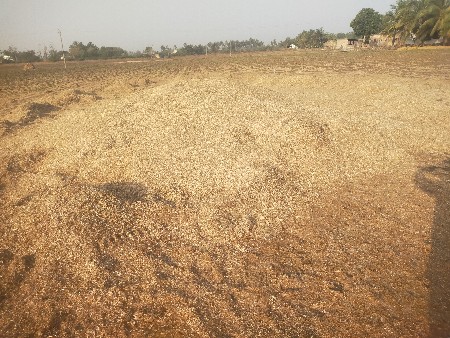 vatana no bhuko vesvano se