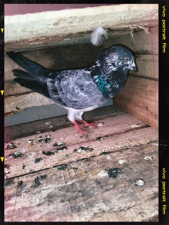 થંબનેલ 2