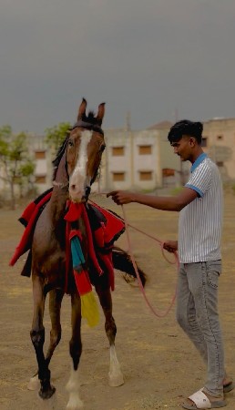 ghodi ni sata karva na