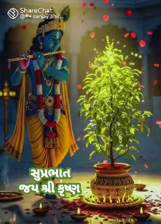 ટ્રેક્ટર લેવાનું છે