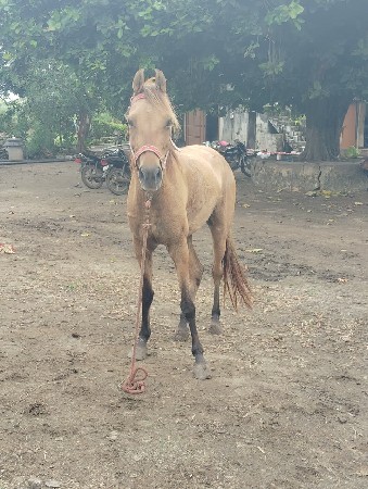 થંબનેલ 3