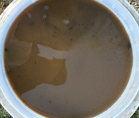 જીવામૃત