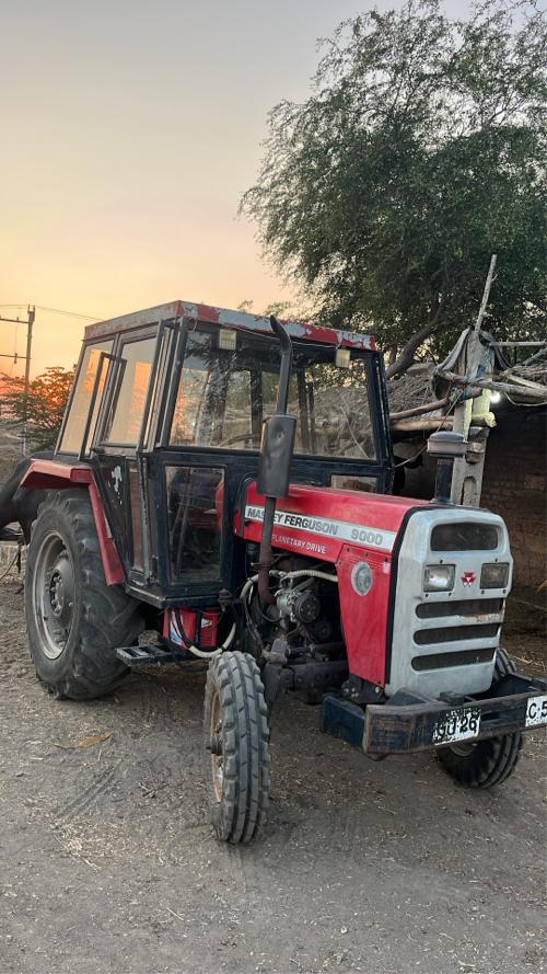 Terctor vechva nu che