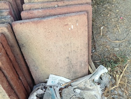 થંબનેલ 2