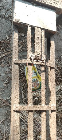 રેંકડો વેસવાનો સે