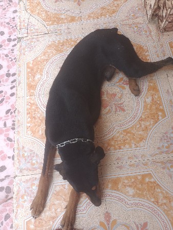 થંબનેલ 3